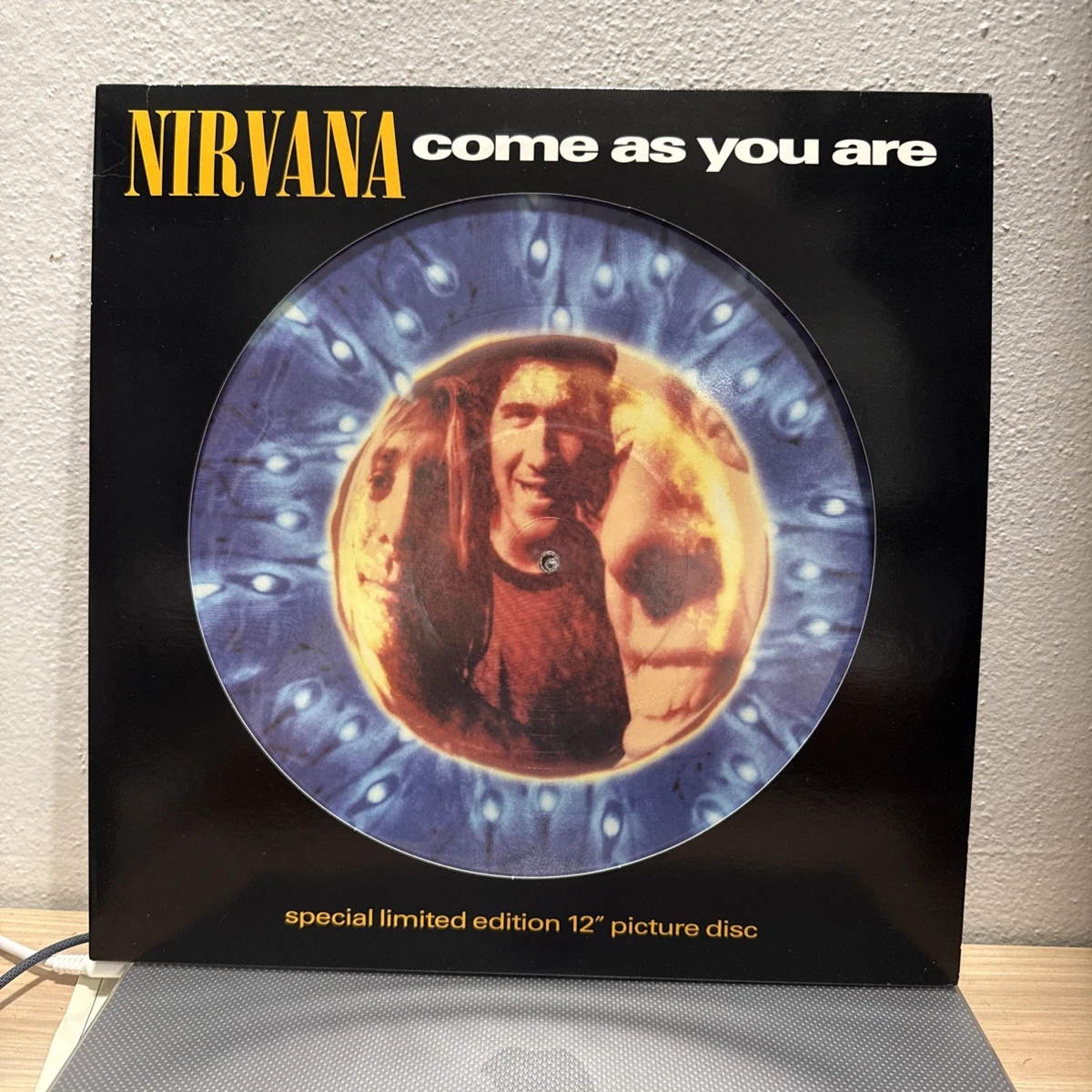 Nirvana Picture Disc Vinyl Records for sale | eBay