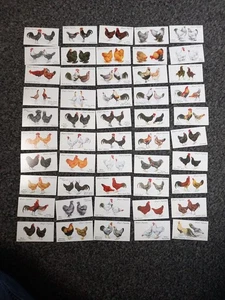 Spieler Zigarettenkarten Geflügel Komplettsatz 50 Stück - Bild 1 von 4