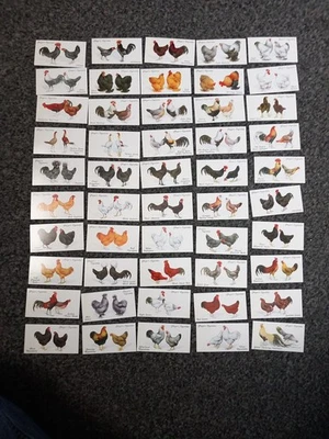 Player's Cigarette Cards Poultry Full Set Of 50 - Image 1 of 4