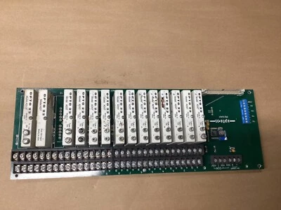 Rack de montaje analógico OPTO 22 PB16AH, G1 16 canales CON 14 OPTO22 #112Z62 Foto 1 de 4