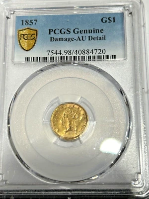 ORO 1857 $1 PRINCESA INDIA GRADUACIÓN PROFESIONAL DAÑOS GENUINOS DETALLES AU Foto 1 de 2