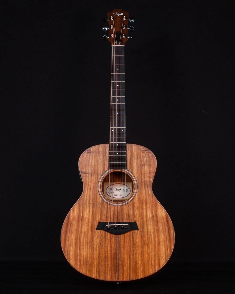 Koa figura Taylor GS Mini-e LTD Foto 1 de 4