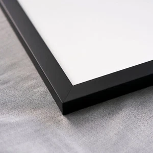 Classic Modern Black Frame - UV Acrylic, Backing Board, Hardware Included - Picture 1 of 216