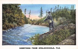 Postal FL: Saludos desde Apalochicola, Florida, Hombre Pesca, Lino Vintage - Imagen 1 de 2
