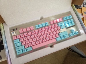 Novelkeys Classic GLO TKL Custom Mechanical Hotswap Keyboard + Keycaps - Picture 1 of 15