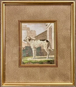 The Raschella Collection Art Print Titled Dog V Jacques Eustache de Seve 20x16 - Picture 1 of 15