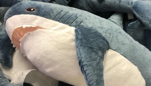 Sea creatures, plush toy, BLÅHAJ IKEA Blue Shark Soft Toy, NEW - Picture 1 of 1
