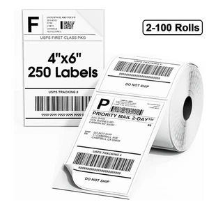 250 Per Roll 4" x 6" Direct Thermal Shipping Labels Perforated For Zebra MUNBYN - Picture 1 of 5