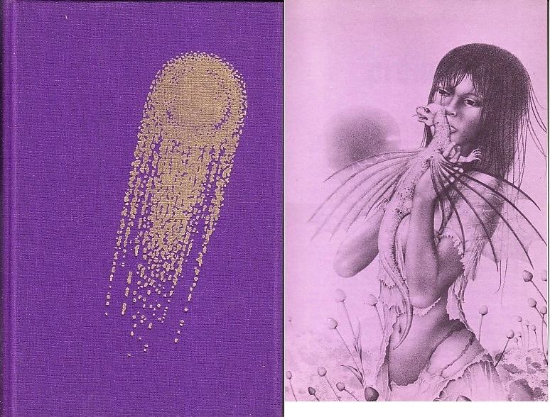 C1 McCAFFREY La QUETE DU DRAGON CLA # 38 1972 DESIMON Ballade PERN 2 EO  - Photo 1/1