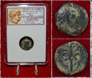 Ancient GREEK Coin Seleucid King DEMETRIUS I SOTER Palm Tree Tyre Mint - Picture 1 of 4