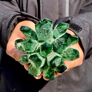 396G neu entdeckte grüne Phantomquarz Kristall Cluster Mineral Probe - Bild 1 von 12