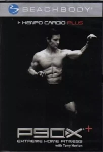 P90X - Kenpo Cardio Plus (DVD, 2009, Beachbody) *DISC ONLY* NO CASE NO TRACKING - Picture 1 of 1