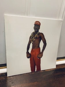 Don’t Tap The Glass - Tyler the Creator (2025) Pressing Vinyl New - Bild 1 von 2