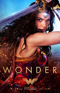 DC Wonder Woman 11" x 17" Collector's Movie Poster ( T3 ) - Picture 1 of 6