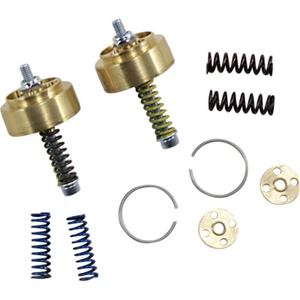 Race Tech Gold Valve Cartridge Fork Emulators - 41mm | FEGV S4101 - Picture 1 of 1