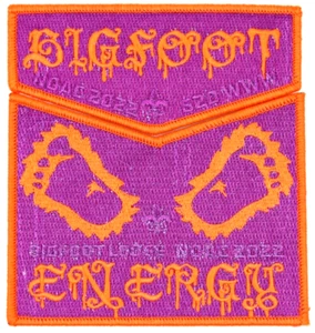 2022 NOAC Bigfoot Lodge 620 Flap Set Glacier's Edge Patches Wisconsin OA - Picture 1 of 2