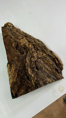 ARIZONA DESERT IRON WOOD, BASE DE RELÓGIO, Molduras, ECT.#96 - Imagem 1 de 4