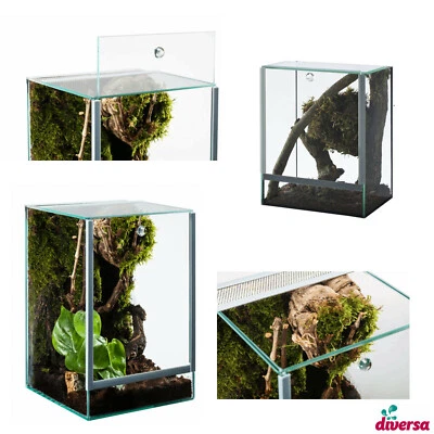 (ab 42,90€ / Stk) Glas Terrarium diversa Spinnen Spider 4,5L - 22,5L Falltür - Bild 1 von 4