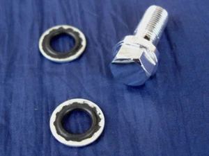 PERNO BANJO CON LAVADORAS PARA FRENOS HARLEY Y CONTROLES MANUALES PIEZAS 10MM - Imagen 1 de 1