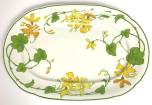 "Villeroy & Boch GERANIO - Placas para servir ovaladas - 13"" x 9" - Imagen 1 de 2