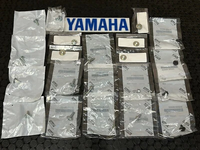 KIT DE TORNILLOS DE PLÁSTICO RAPTOR 700 JUEGO DE TORNILLOS GUARDABARROS YAMAHA 2006-2025 🔥ENVÍO RÁPIDO🔥 Foto 1 de 4