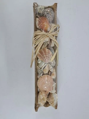 6x Deko Muscheln Holzstamm Flohmarkt Ladenauflösung Sonderposten Restposten - Bild 1 von 4