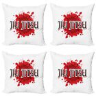 Jiu Jitsu Pillow Cushion Set Of 4 Mma Color Splash