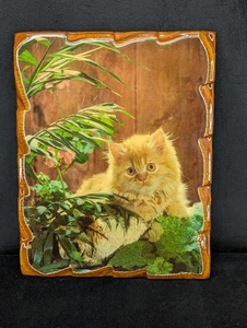 VTG Orange Kitten Picture Lacquered Wooden Wall Decor Plaque Cottage Core Granny - Picture 1 of 7