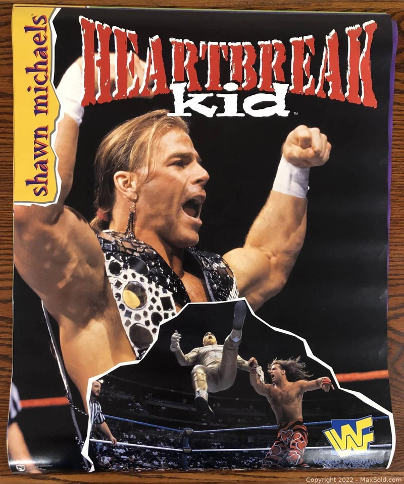 Póster De Colección WWF WWE 16x20 NUEVO Sunny Shawn Michaels Bret Hart 1997 Foto 1 de 1