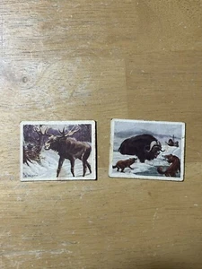 1933 PLANTERS BIG GAME PEANUT BLOCKS HUNTED ANIMALS #10 And #20 - Picture 1 of 12