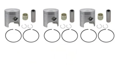 Arctic Cat ZRT 800 SPI Piston Kits Wrist Pin Bearings 72mm Std Bore 1995-2001 - Image 1 of 4