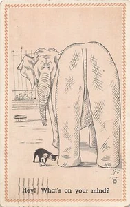 G76/ Pet Dog Animal Postcard Comic c1940s Elephant Pug 14 - Picture 1 of 4