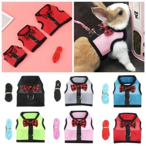 Ferret Pet Lead Strap Bunny Mesh Chest Harness Rabbit Leash Collar Hamster Vest - Picture 1 of 17