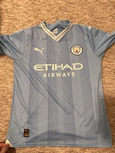 Puma Manchester City M11 3FF BLANK Adult Blue Jersey; M - Picture 1 of 5
