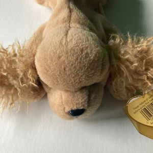 Ty Beanie Baby Spunky Cocker Spaniel 8" Beanbag Peluche Perro Rubio 1997 Con Etiqueta - Imagen 1 de 7