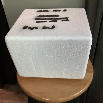 Small Styrofoam Foam Shipping Box Inked out Lid Cooler  9.5"X8.5"X7" Exterior - Image 1 of 4