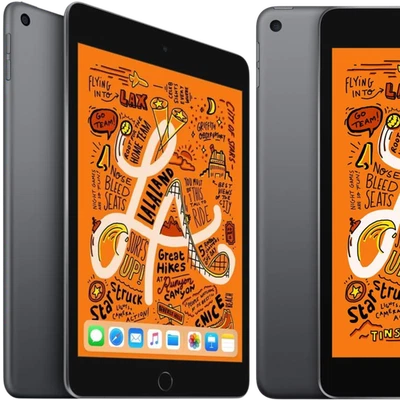 Apple iPad Mini 5 256GB A2124 Space Gray Cellular | Zustand: Sehr gut - Bild 1 von 4