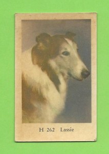 1961 Dutch Gum Card H #262 Lassie