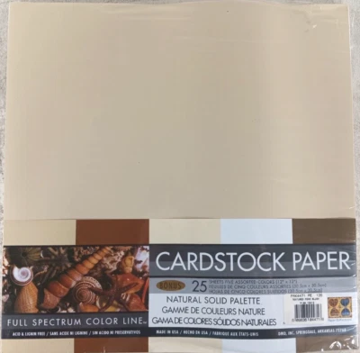 NEW DMD Cardstock Paper 12 Inch X12 Inch 25/Pkg-Natural - Image 1 of 4