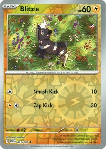 Blitzle (Holo Inverso) - 031/086 - Llamarada Blanca - Casi Nuevo/Muy Nuevo - Pokemon - Inglés - Imagen 1 de 1