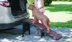 Pet Gear Free-Standing Extra Wide, XL Pet Ramp, Brown OPEN BOX - Picture 1 of 6