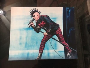 TOOL Maynard James Keenan als Joker Angst Impfstoff Live Tour 8x10 Kunstdruck Foto - Bild 1 von 1