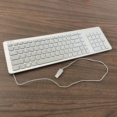 Sony Vaio Keyboard Model VGP-UKB3US Silver USB Keyboard Desktop Tested - Image 1 of 4