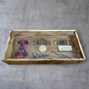 Quadro F1 Brabham BT46 Lauda Macchinina Formula 1 Scala 1:43 Logo Alfa Romeo - Foto 1 di 7