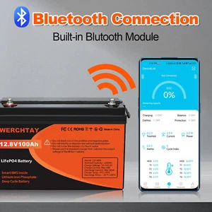 Bluetooth Lithium Batterie 12V 100Ah LiFePO4 Smart Akku Wohnmobil 15000+ Zyklen - Bild 1 von 19