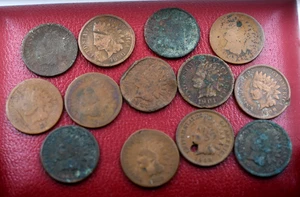 Lot of 13 Indian Head Cents 1864 1879 1887 1908 - Picture 1 of 8