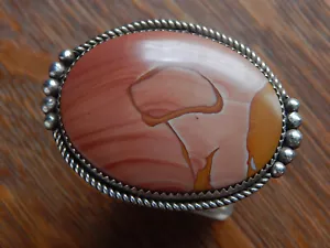 Anillo De Colección Grande GB George Begay Navajo Plata Esterlina Madera Fósil Talla 9 - Imagen 1 de 8