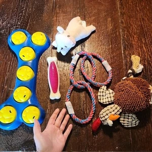 Menge 5 Hund Leckerli Spender Spiel Spielzeug Spiel Quietscher Schlepper Ringe Kauknochen - Bild 1 von 8