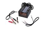 Electronic Batt Charger 2 amp BRAILLE AUTO BATTERY 1232 not for use on a Lithium