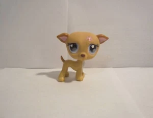 KLEINST PET SHOP WINDHUND HUND # 498 hellbraun BLAUE AUGEN ROSA Blume - Bild 1 von 3